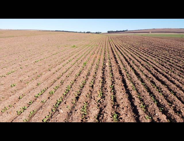 110HA FARM FOR SALE IN MALMESBURY RURAL